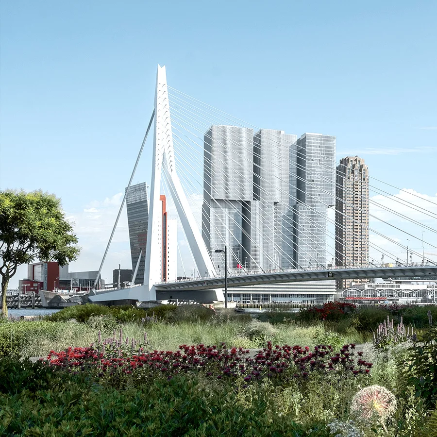 in 2 weken verhuurd - makelaar rotterdam