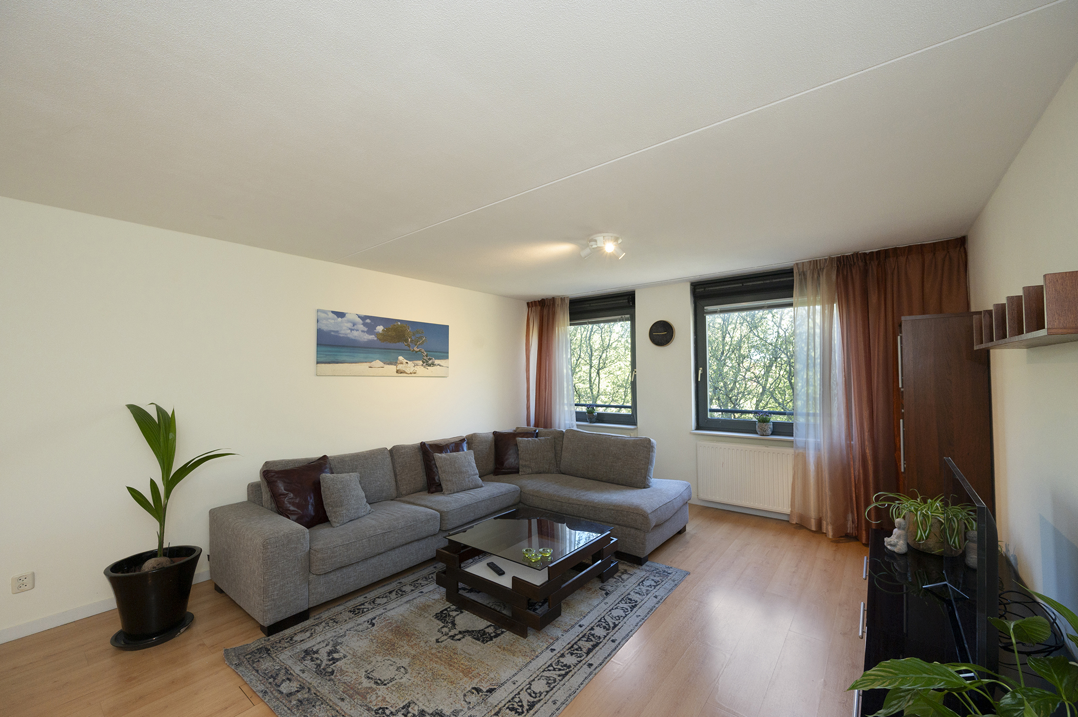 House Image 3