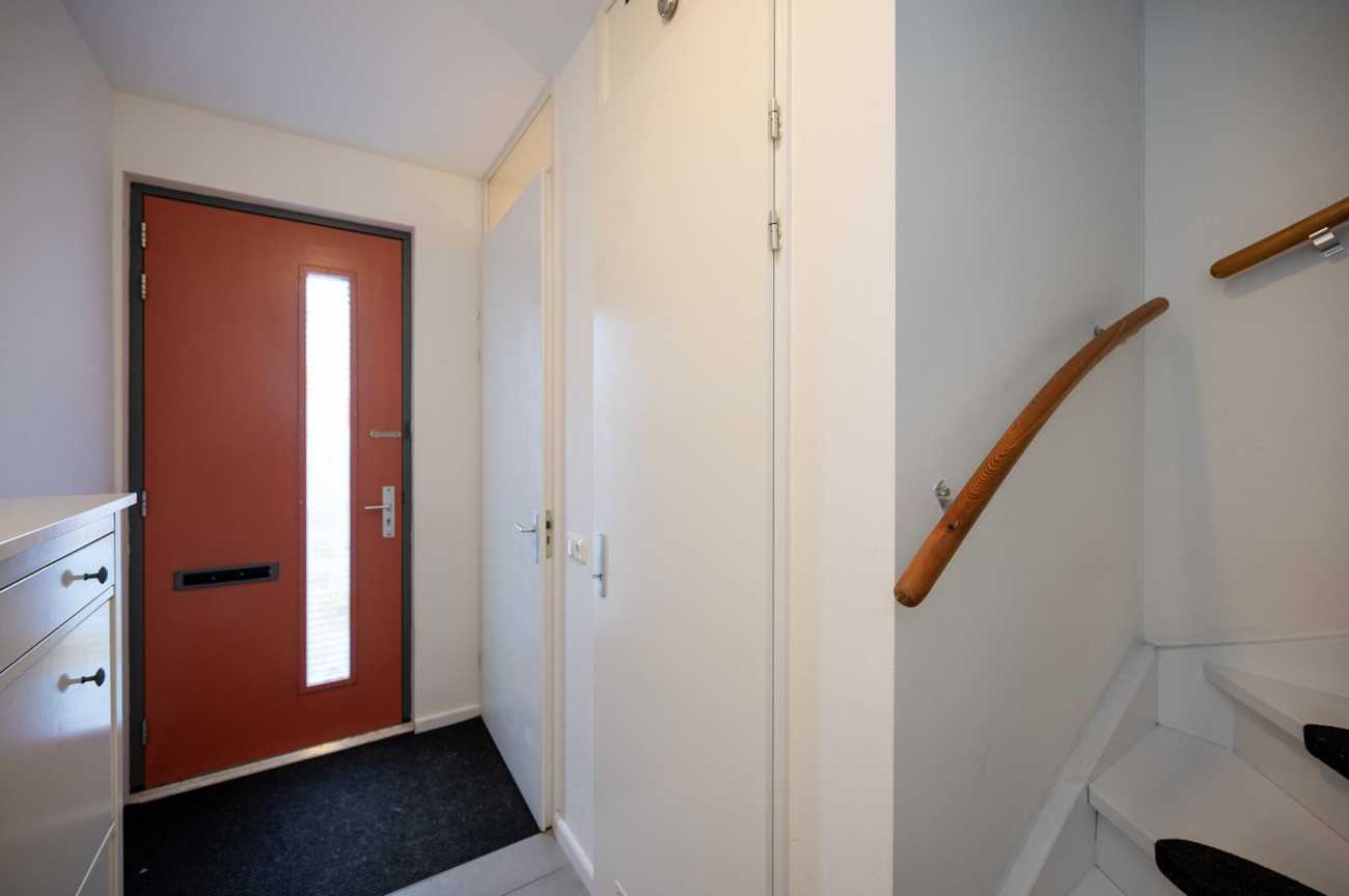 Image 19